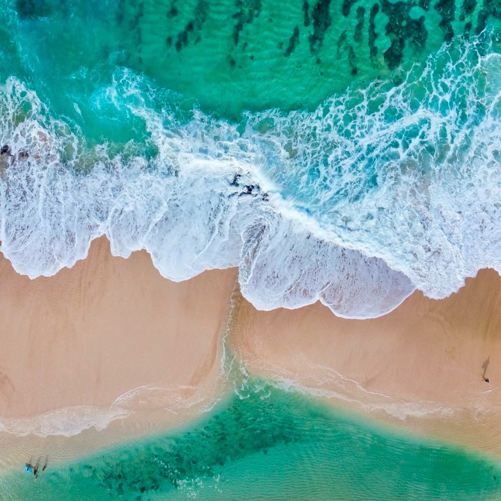 Meet your Posher, Bobby